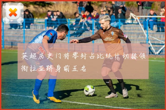 英超历史门将零封占比统计切赫领衔拉亚跻身前五名