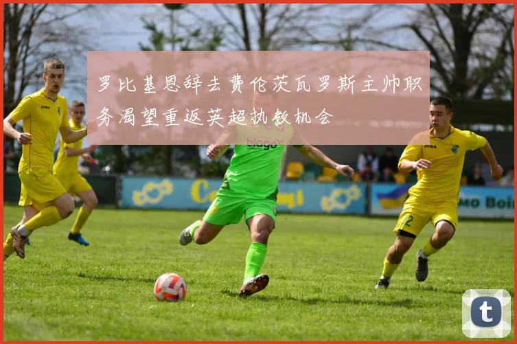 罗比基恩辞去费伦茨瓦罗斯主帅职务渴望重返英超执教机会